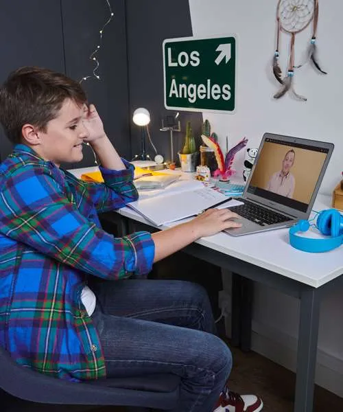 cours particulier en ligne college Institut Molière 