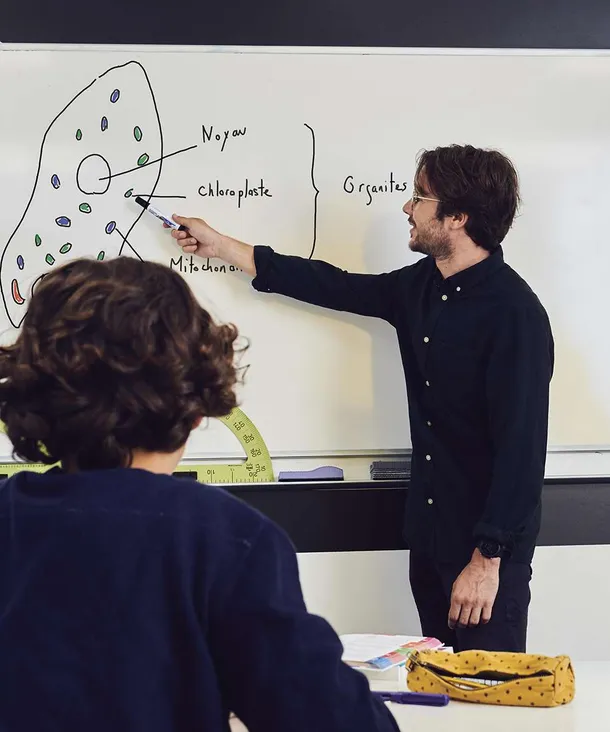 Professeur Institut Molière de biologie